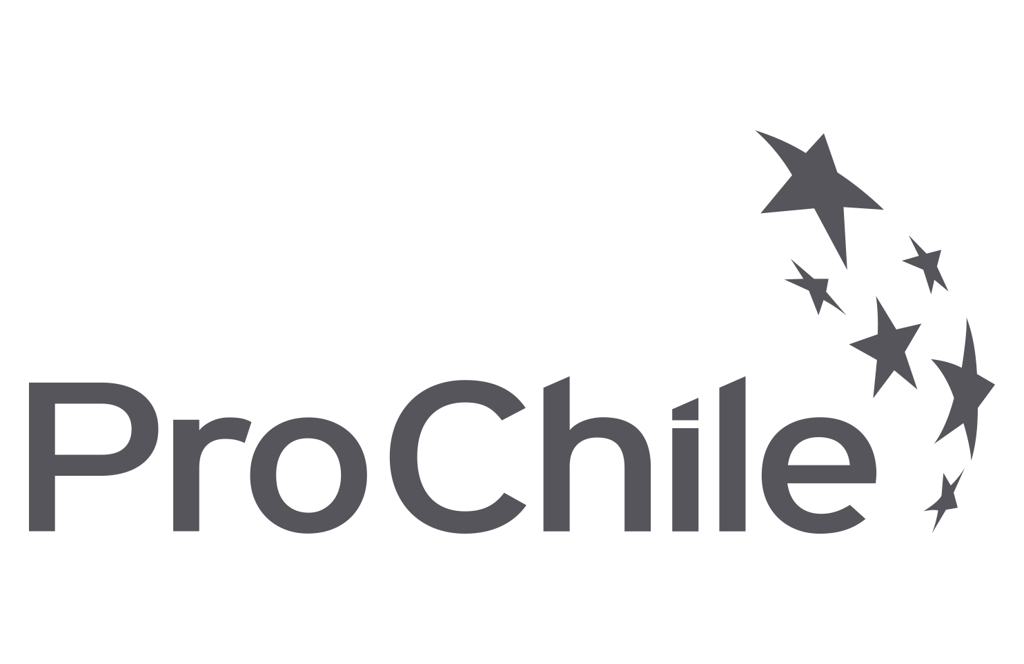 Foto-22-Logo-ProChile-Gris-2019